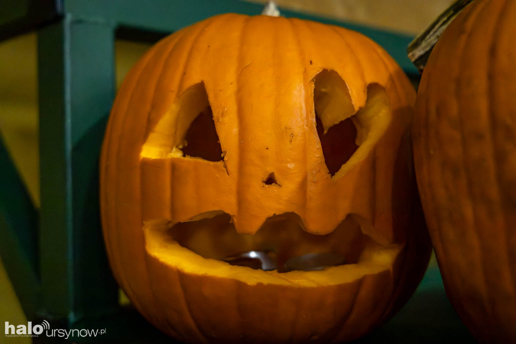 Halloween na Ursynowie
