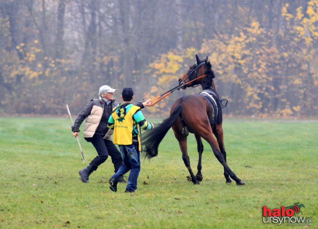 Ostatni weekend sezonu wyścigów konnych
