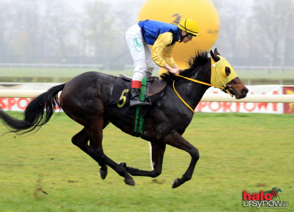Ostatni weekend sezonu wyścigów konnych