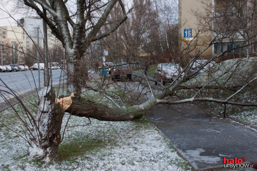 Wichura nad Ursynowem.