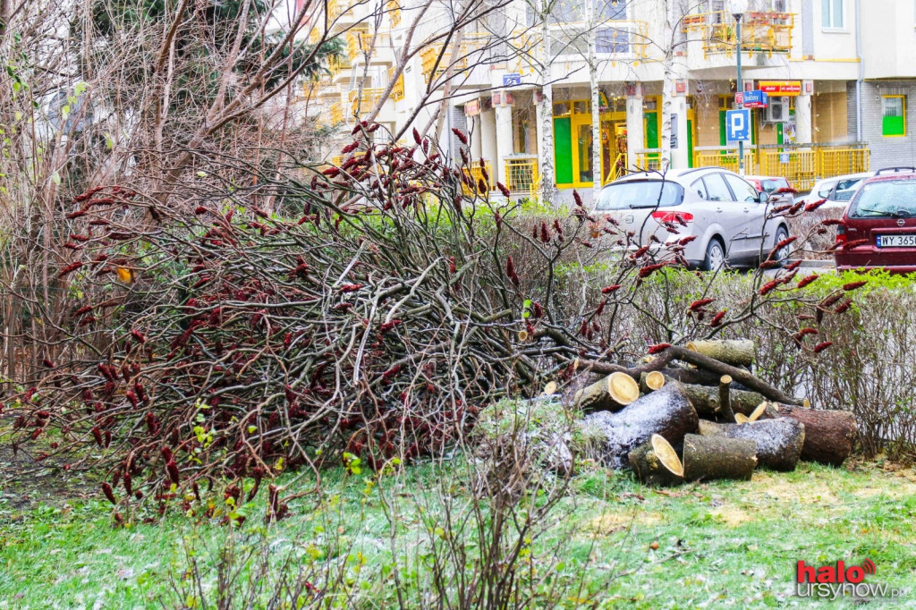 Wichura nad Ursynowem.
