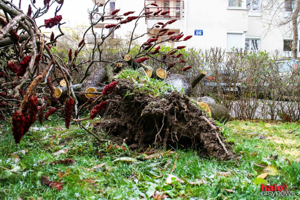 Wichura nad Ursynowem.