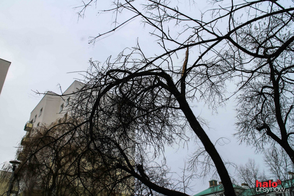 Wichura nad Ursynowem.