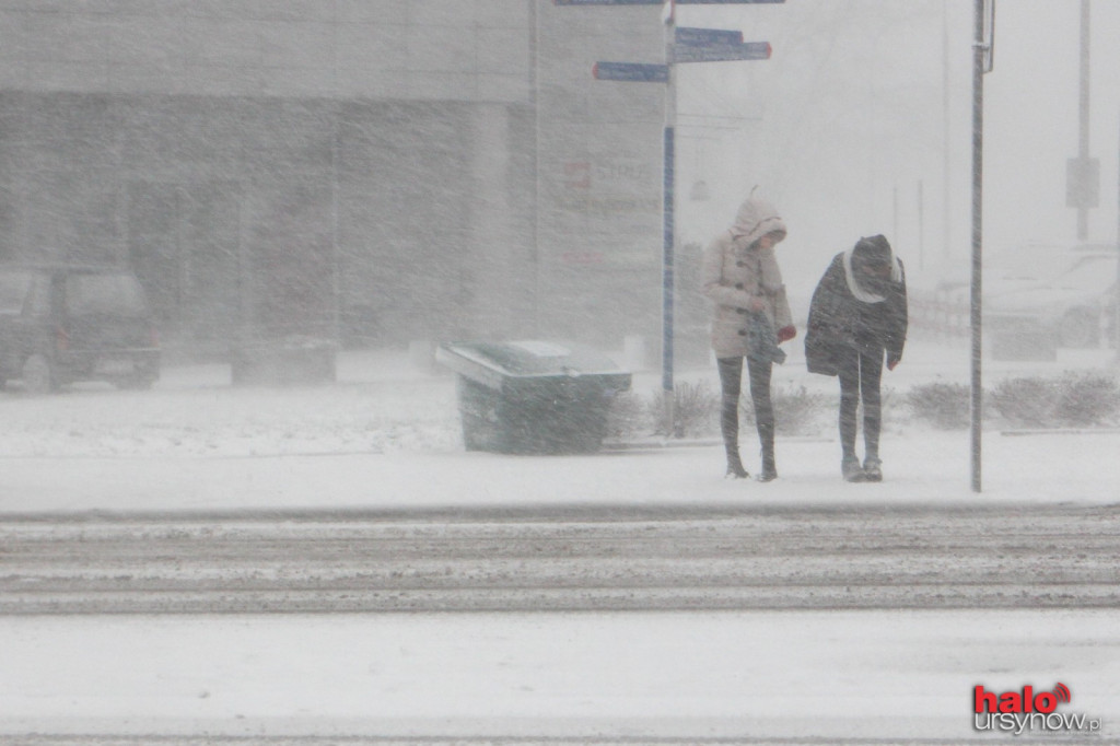Śnieżny Armagedon w dzielnicy! ZOBACZ FOTO I VIDEO!