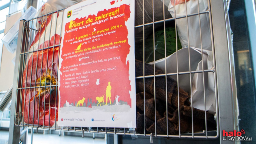  Łoś, koce i karma... trwa zbiórka dla bezdomnych zwierząt