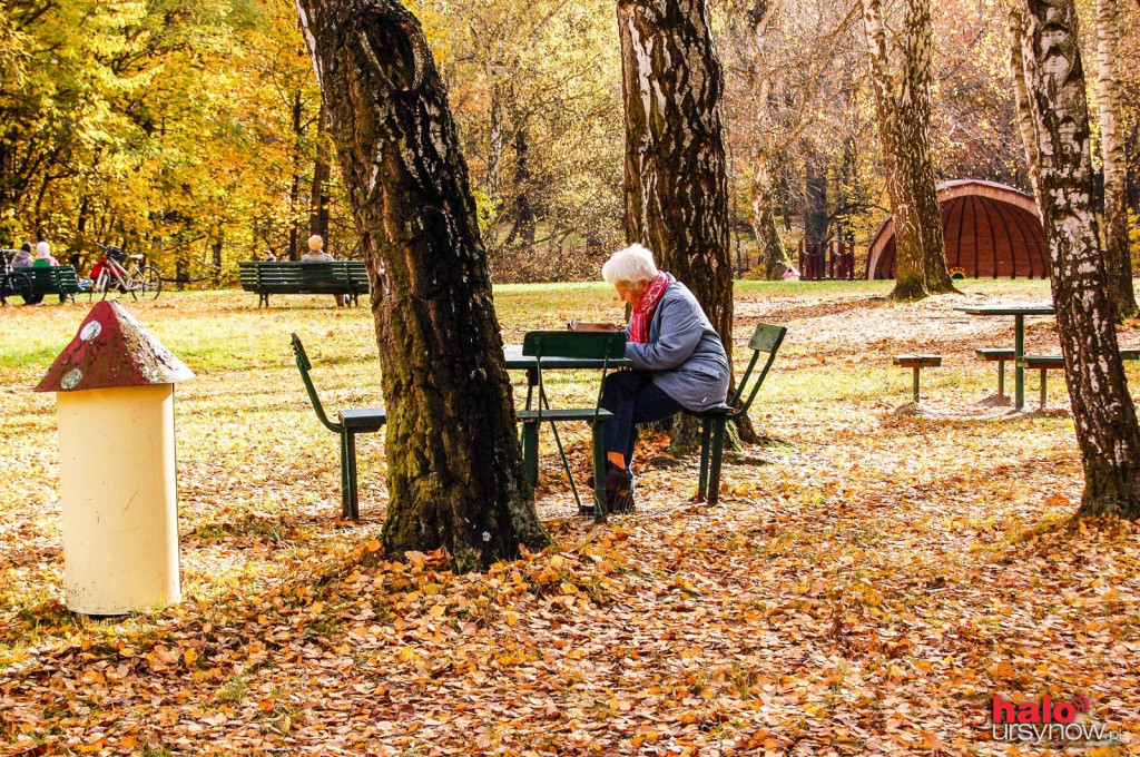 WIEDZIAŁEŚ? Park w Powsinie ma 65 lat! Oto jego fascynująca historia