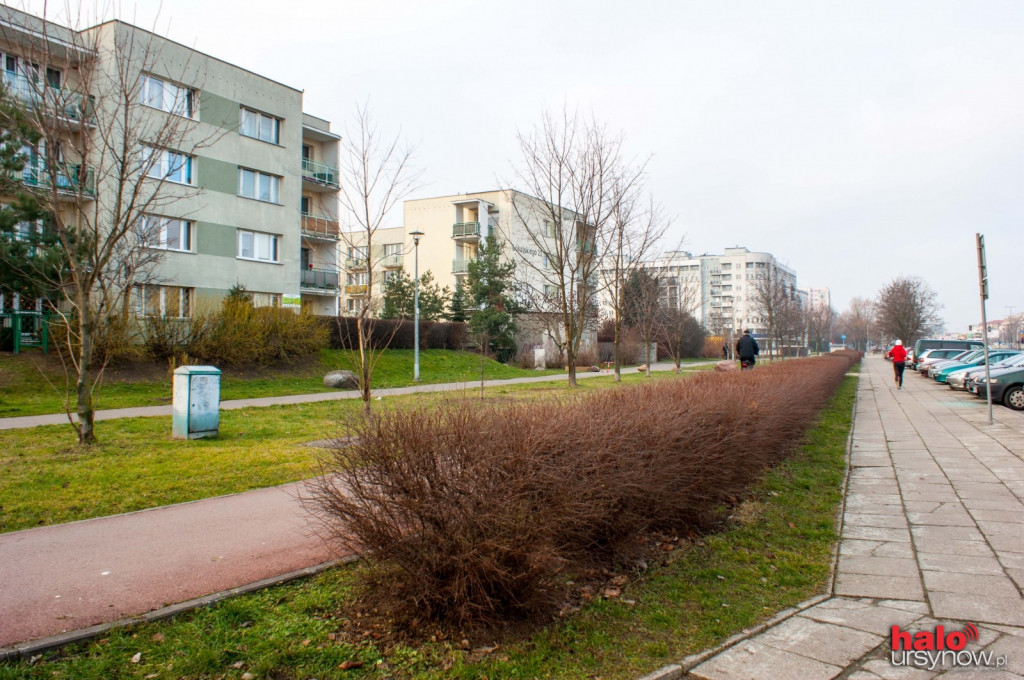 Krzewy zasłaniają rowerzystów