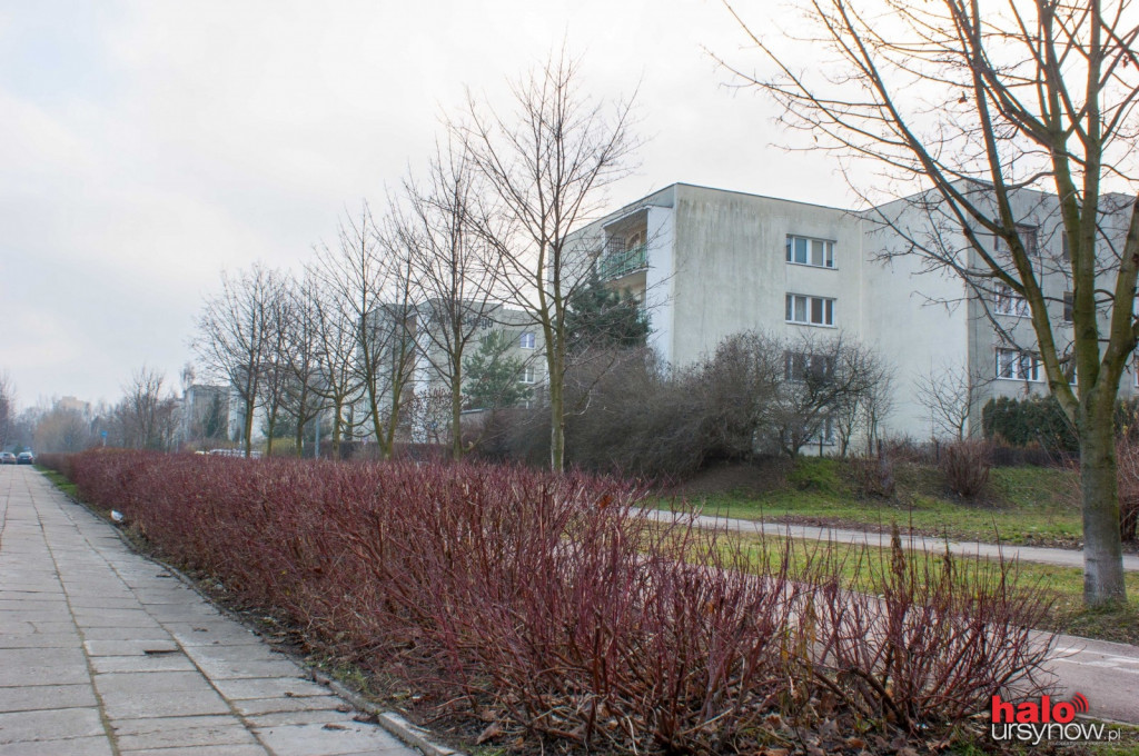 Krzewy zasłaniają rowerzystów