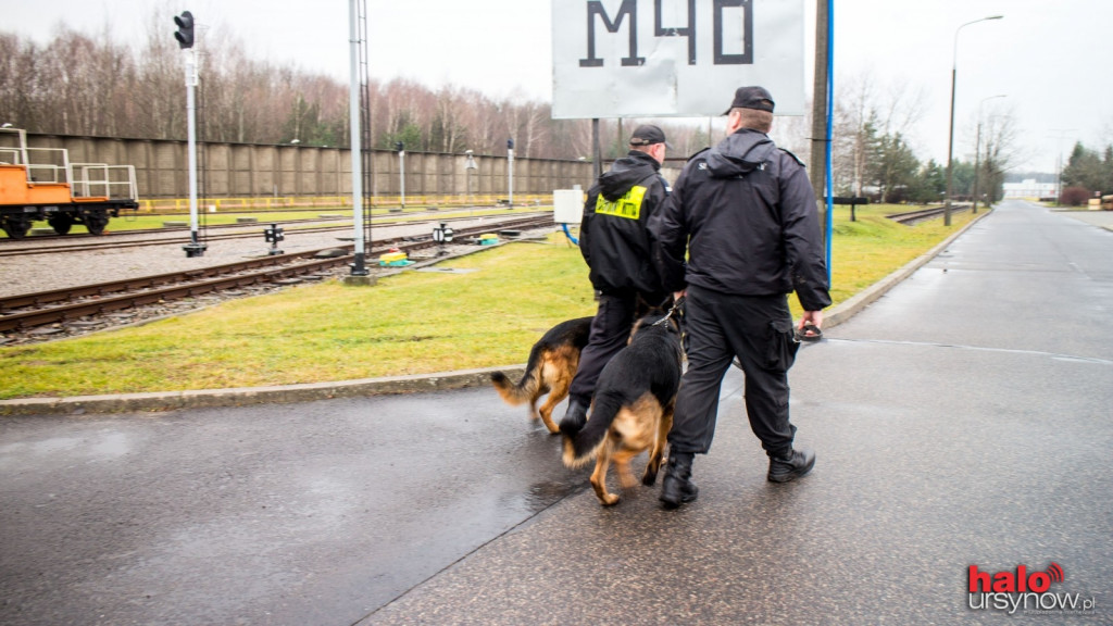 Diego i Dik pilnują porządku w metrze. To psy Metra Warszawskiego