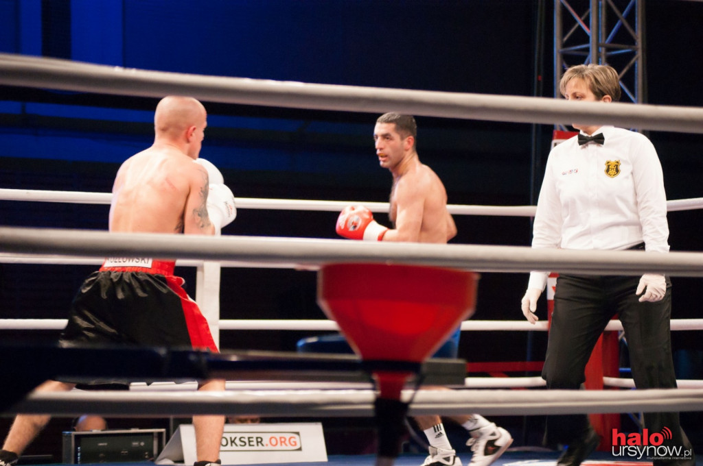 World Series of Boxing w Arenie Ursynów