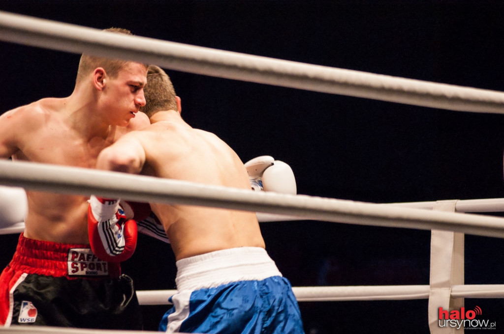 World Series of Boxing w Arenie Ursynów