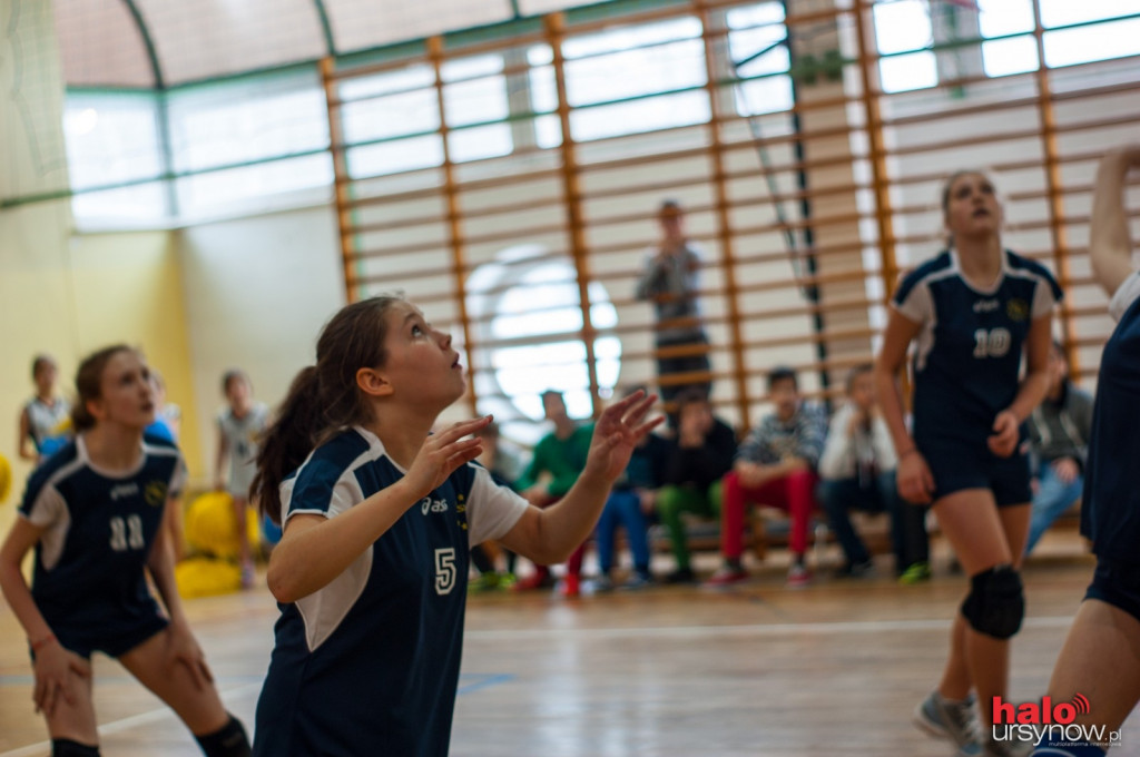 Finał mistrzostw w mini piłce siatkowej w SP 81