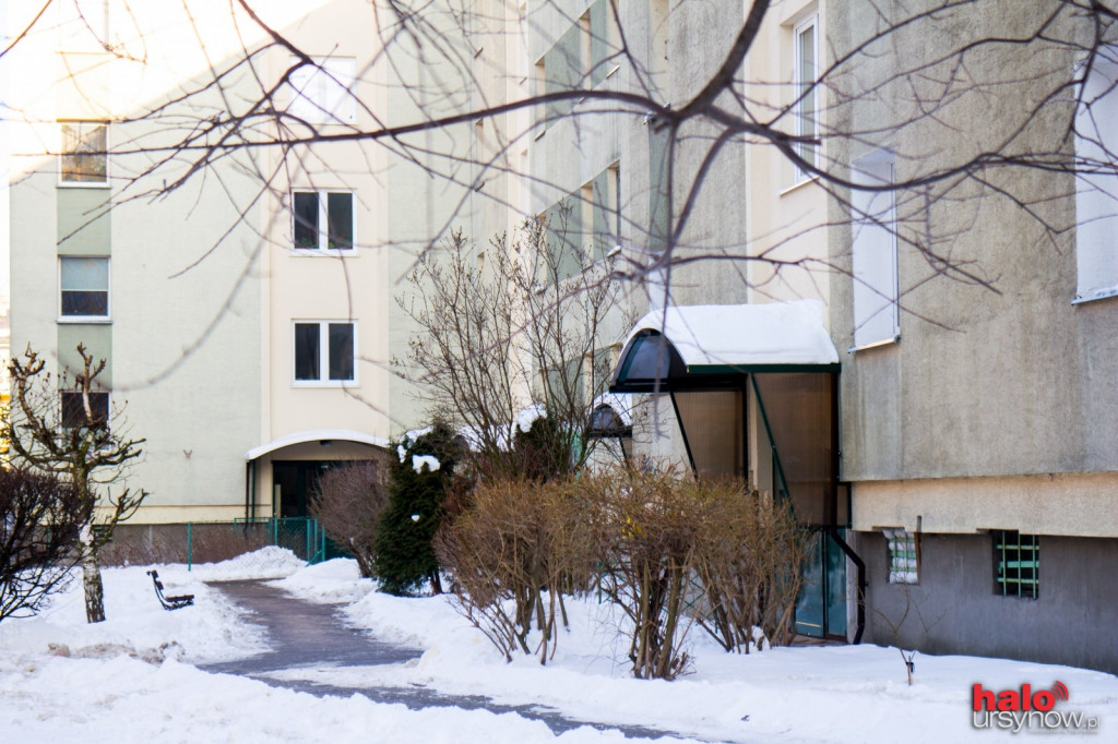 Lokajskiego