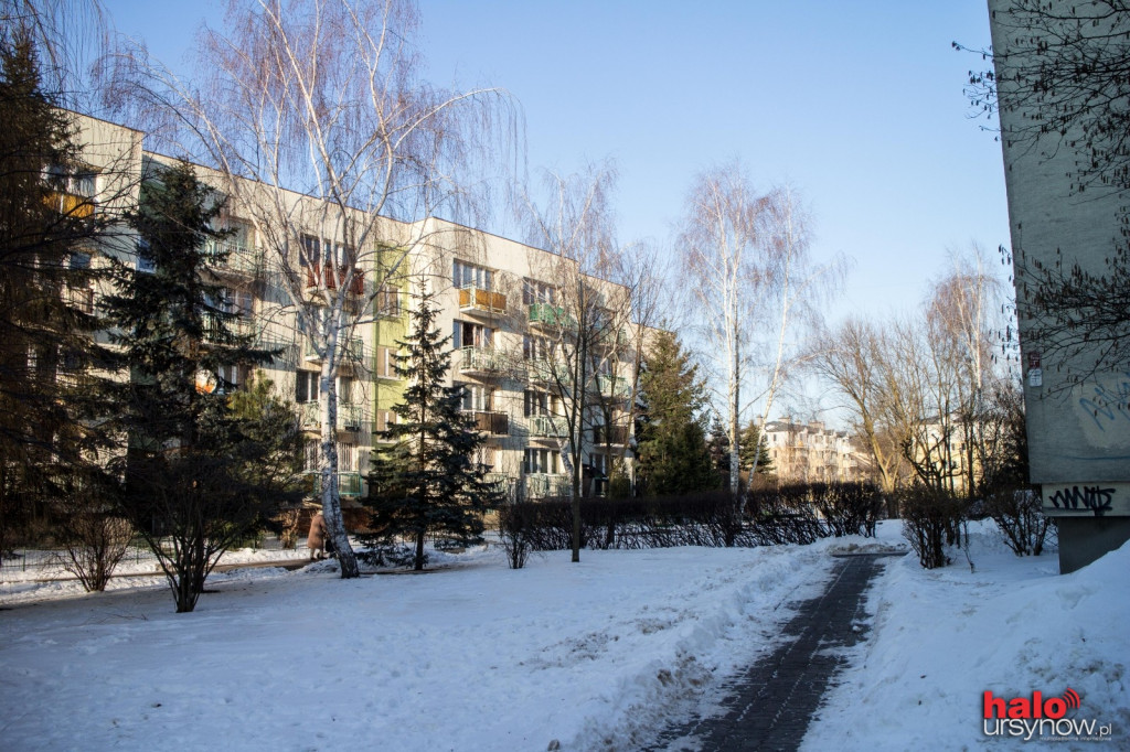 Lokajskiego
