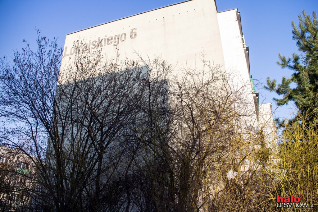 Lokajskiego