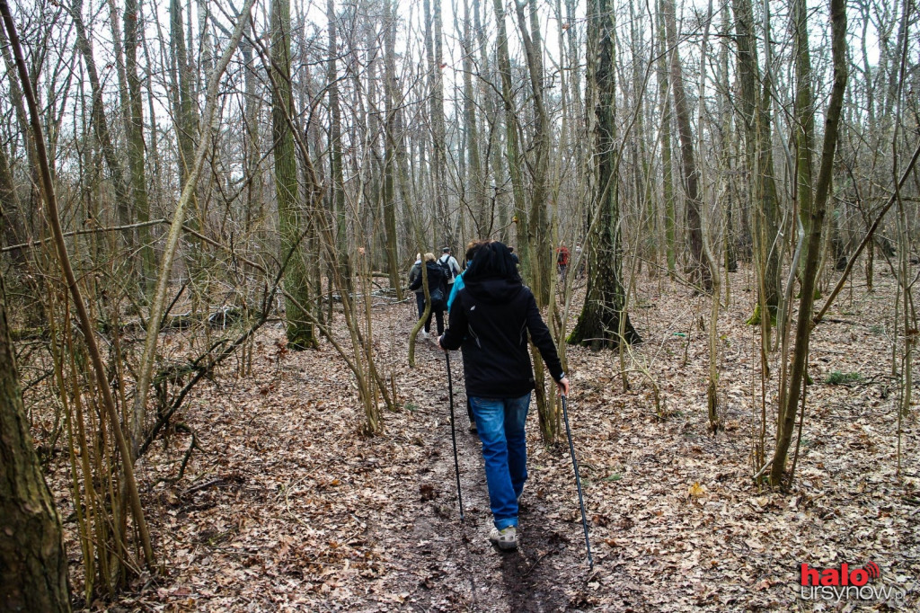Spacer z kijami w weekend? Nordic Walking na Ursynowie