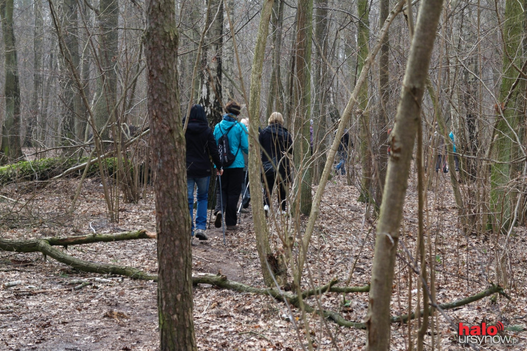 Spacer z kijami w weekend? Nordic Walking na Ursynowie