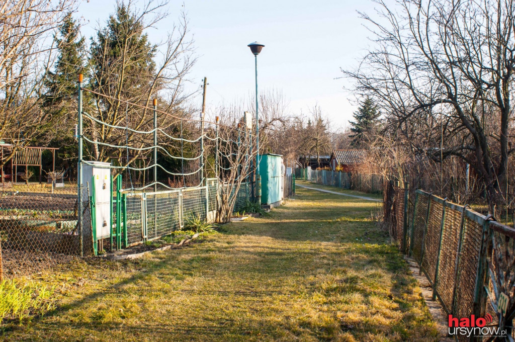 Na weekend Wiosna zawitała do ursynowskich Ogrodów Działkowych