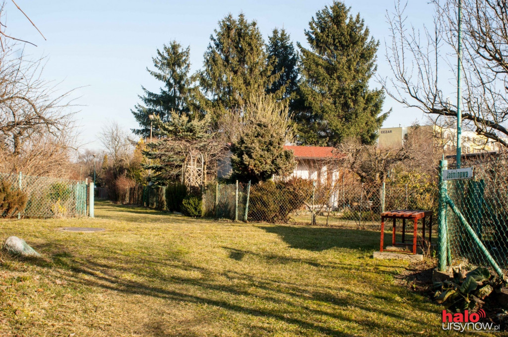 Na weekend Wiosna zawitała do ursynowskich Ogrodów Działkowych