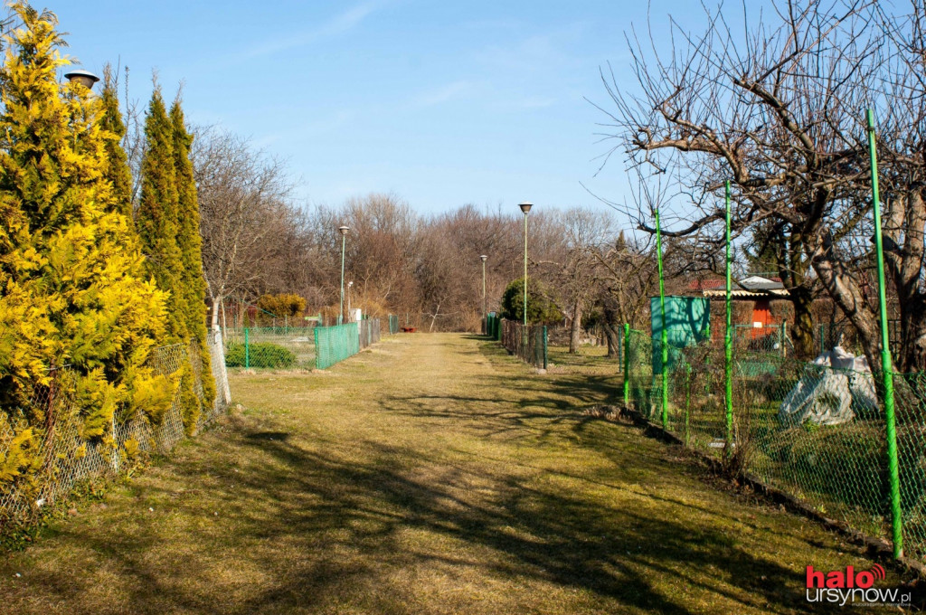Na weekend Wiosna zawitała do ursynowskich Ogrodów Działkowych