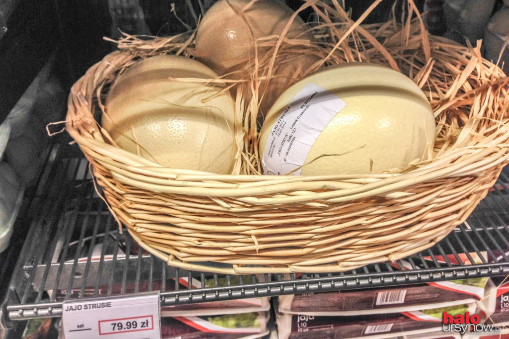 Jaja na wielkanocny stół. Od 30 groszy do 80 złotych!