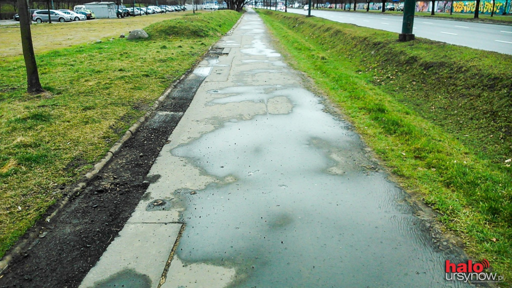 ZDM robi byle coś robić. Oczywiście za pieniądze podatników...