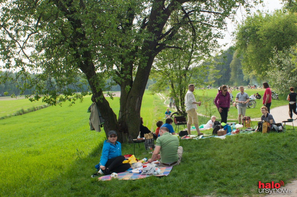 Majówka na polanie w Powsinie