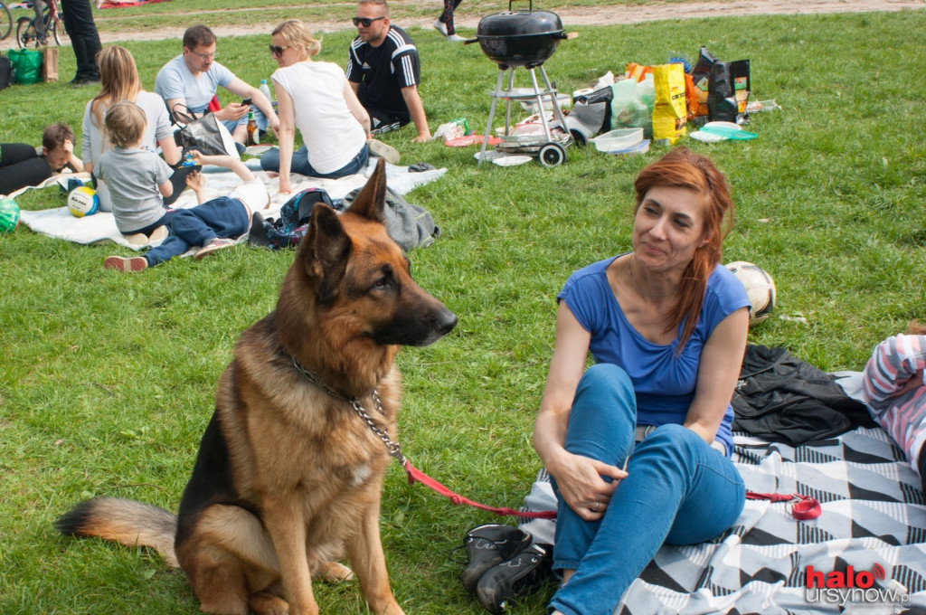 Majówka na polanie w Powsinie