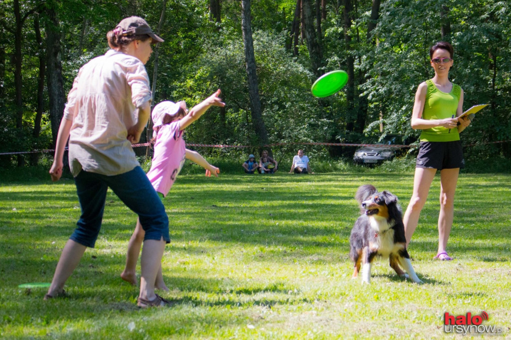 DOG FRISBEE W POWSINIE! Zobacz zdjęcia z zawodów!
