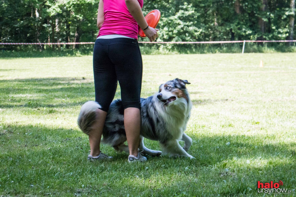 DOG FRISBEE W POWSINIE! Zobacz zdjęcia z zawodów!