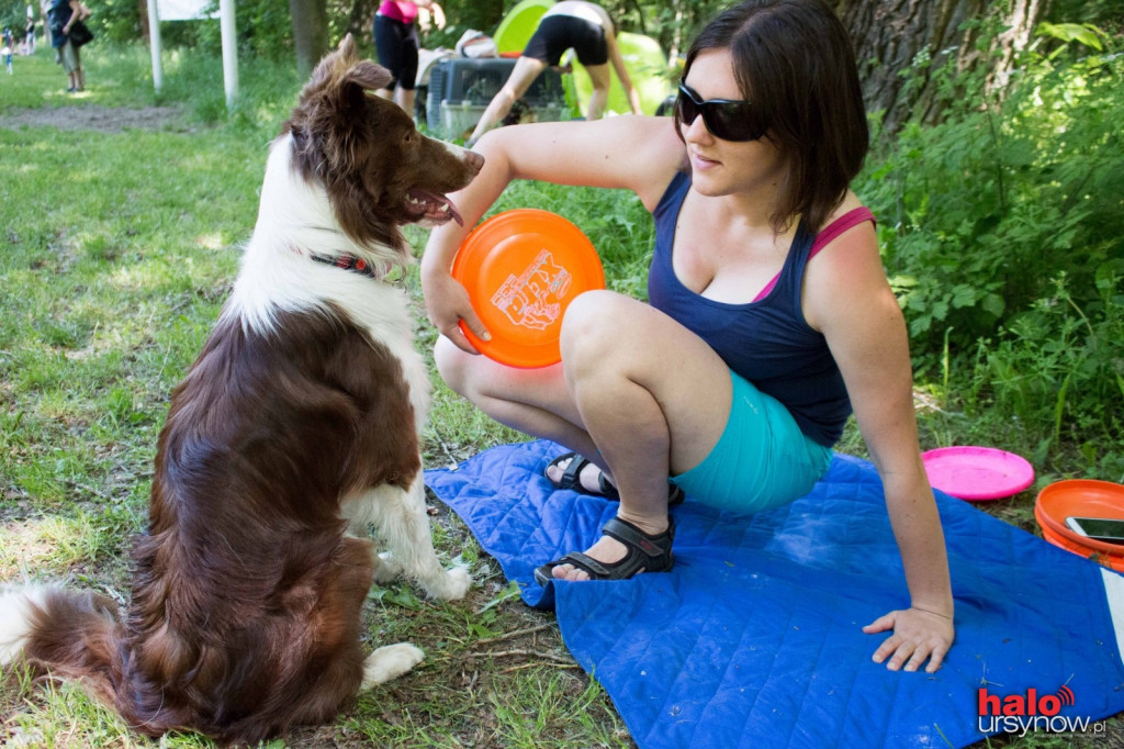 DOG FRISBEE W POWSINIE! Zobacz zdjęcia z zawodów!