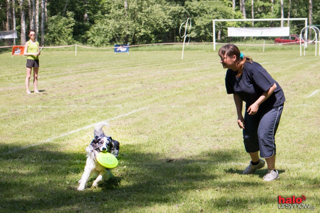 DOG FRISBEE W POWSINIE! Zobacz zdjęcia z zawodów!