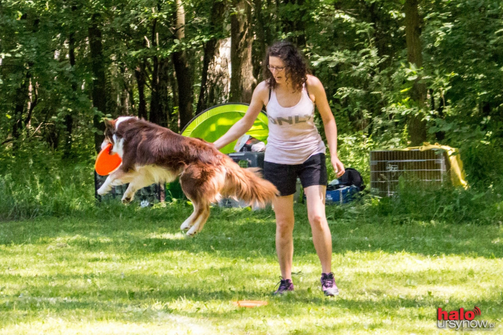 DOG FRISBEE W POWSINIE! Zobacz zdjęcia z zawodów!