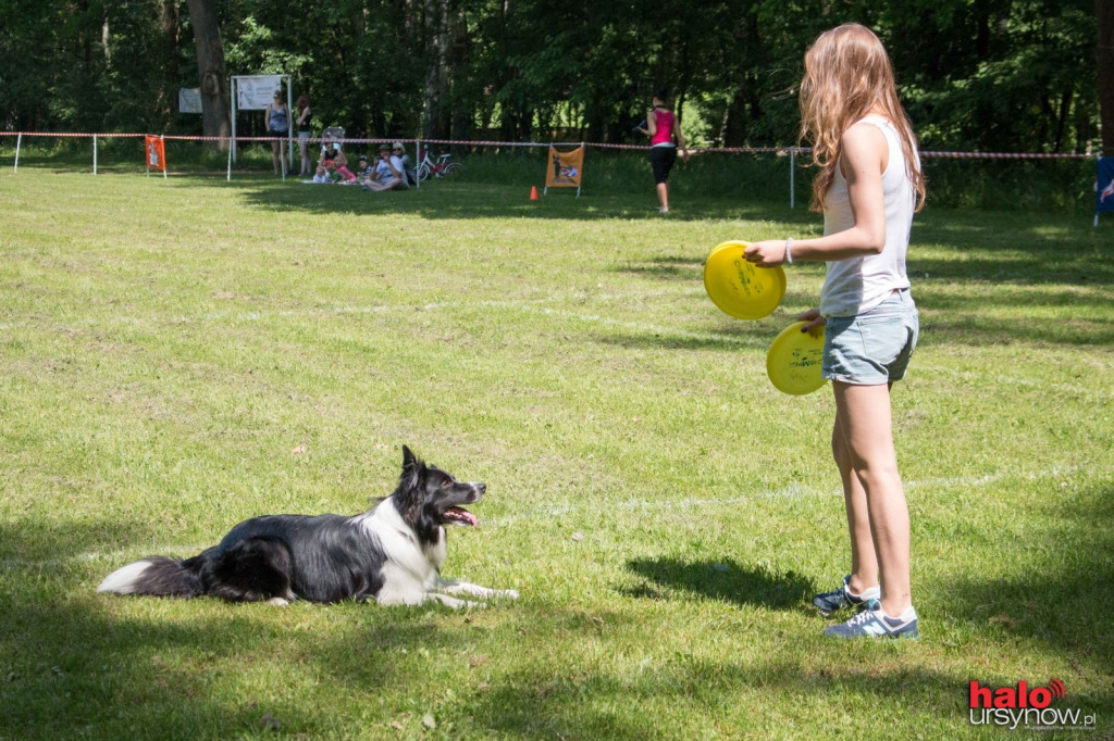 DOG FRISBEE W POWSINIE! Zobacz zdjęcia z zawodów!