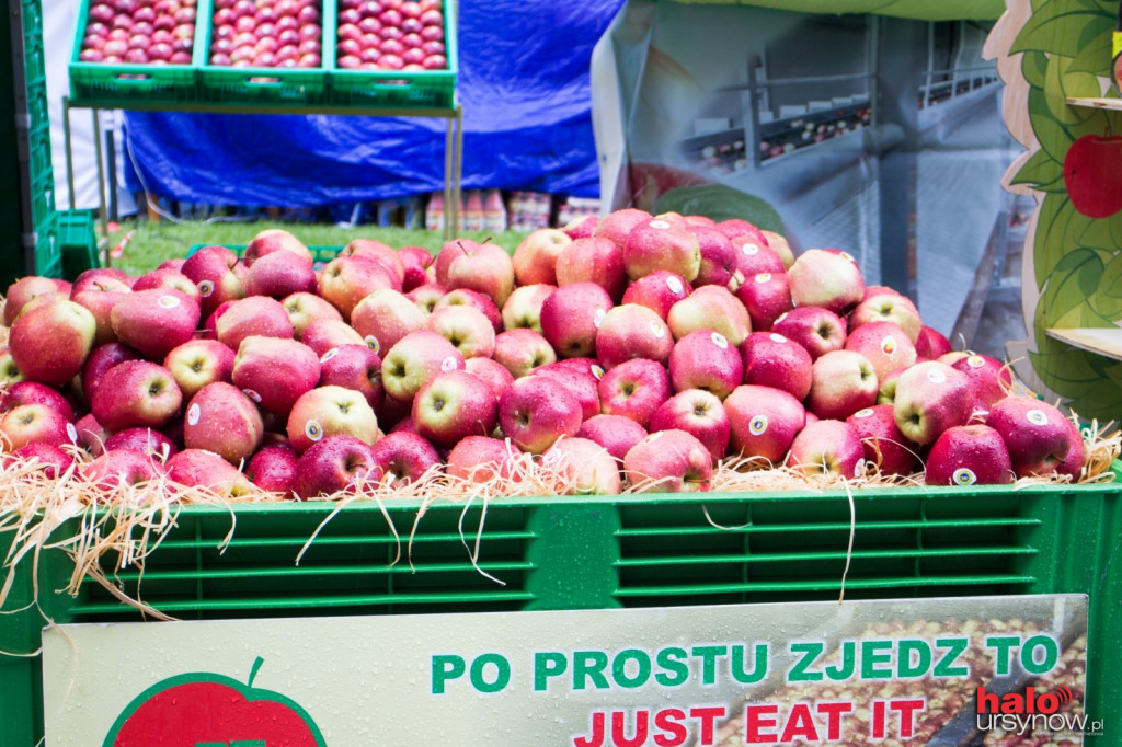 Najlepsze polskie produkty na Ursynowie! Poznaj Dobrą Żywność!