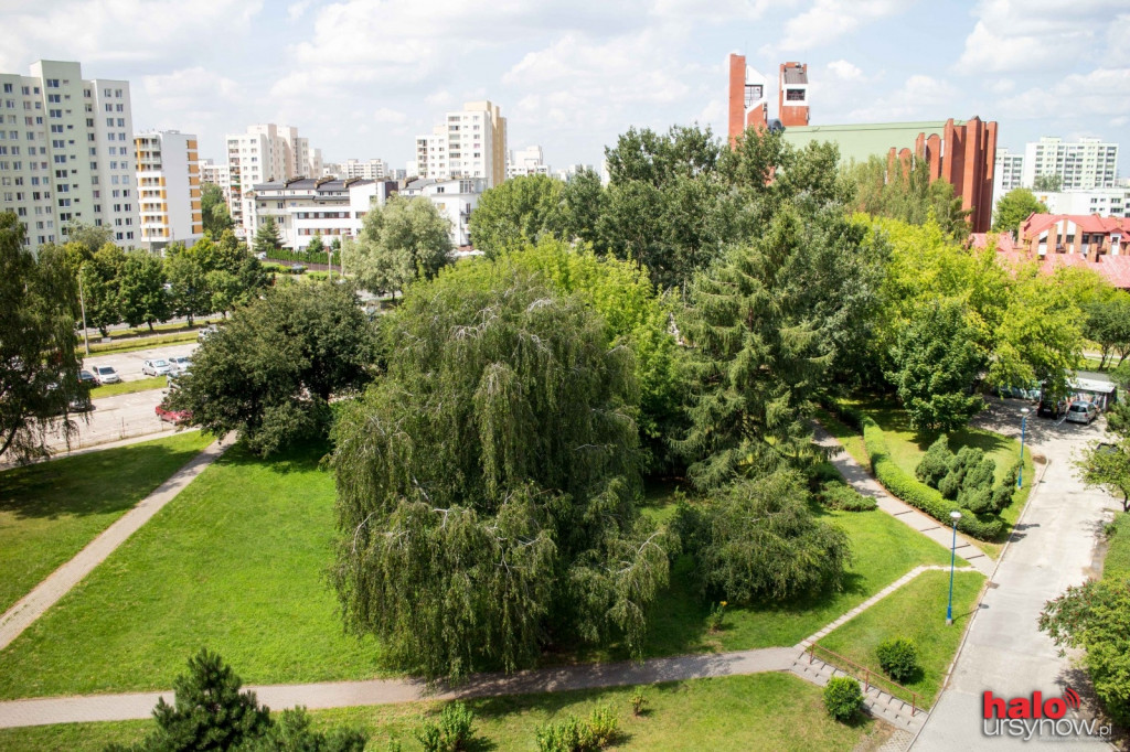Mieszkańcy Imielina nie chcą mieszkać w betonowej pustyni