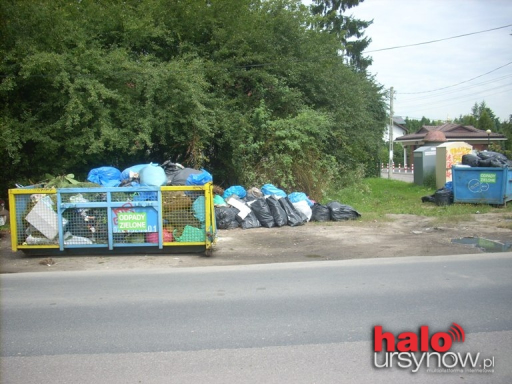 Zaproszenie dla szczurów