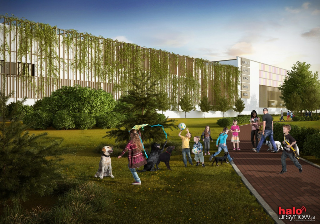 PROJEKTANT GALERII: 