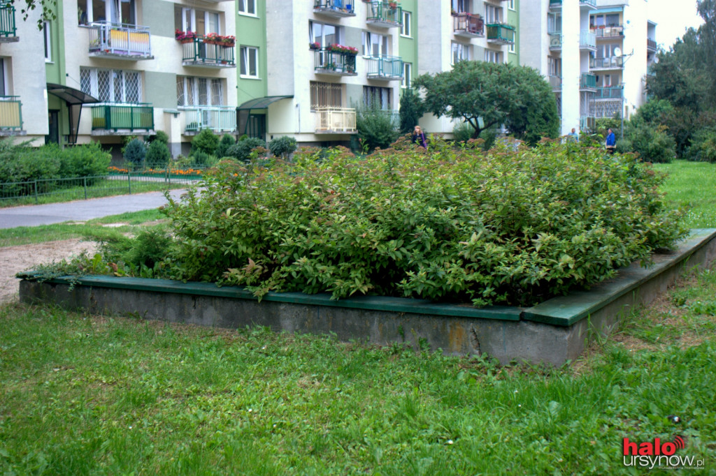 Lokajskiego: zlikwidować piaskownice bo są nie ogrodzone