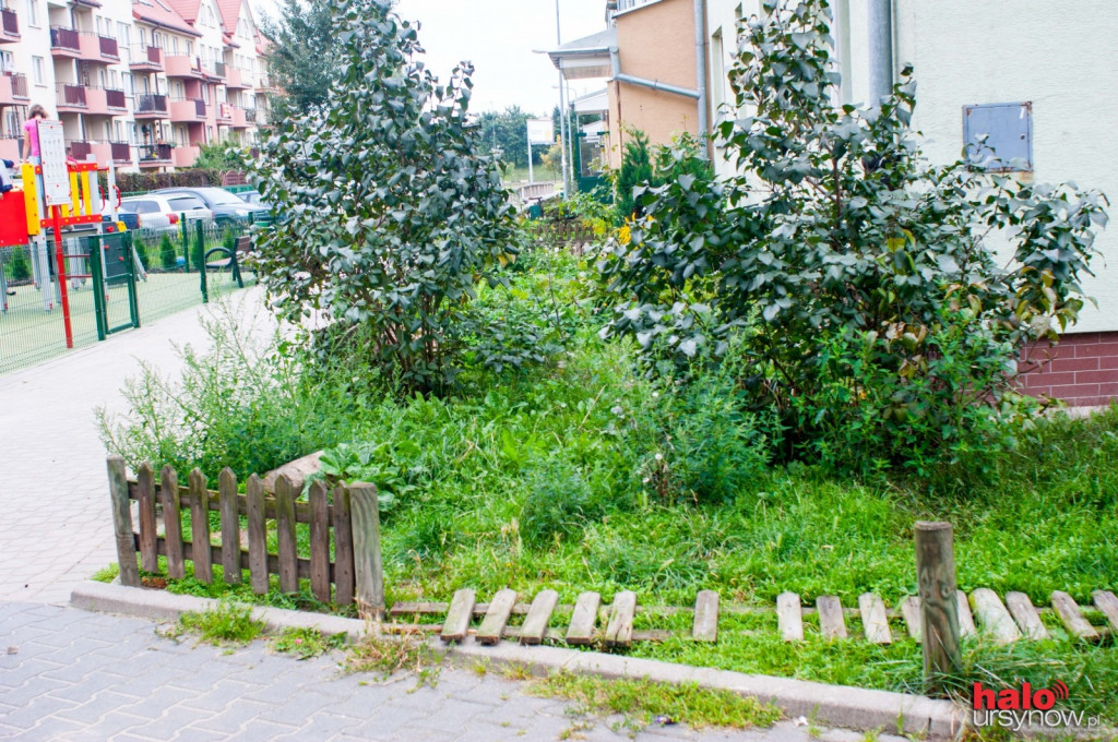 Pileckiego: jest nowy plac zabaw i ładna zieleń, a wokoło...