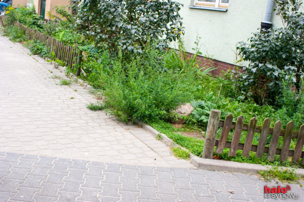 Pileckiego: jest nowy plac zabaw i ładna zieleń, a wokoło...