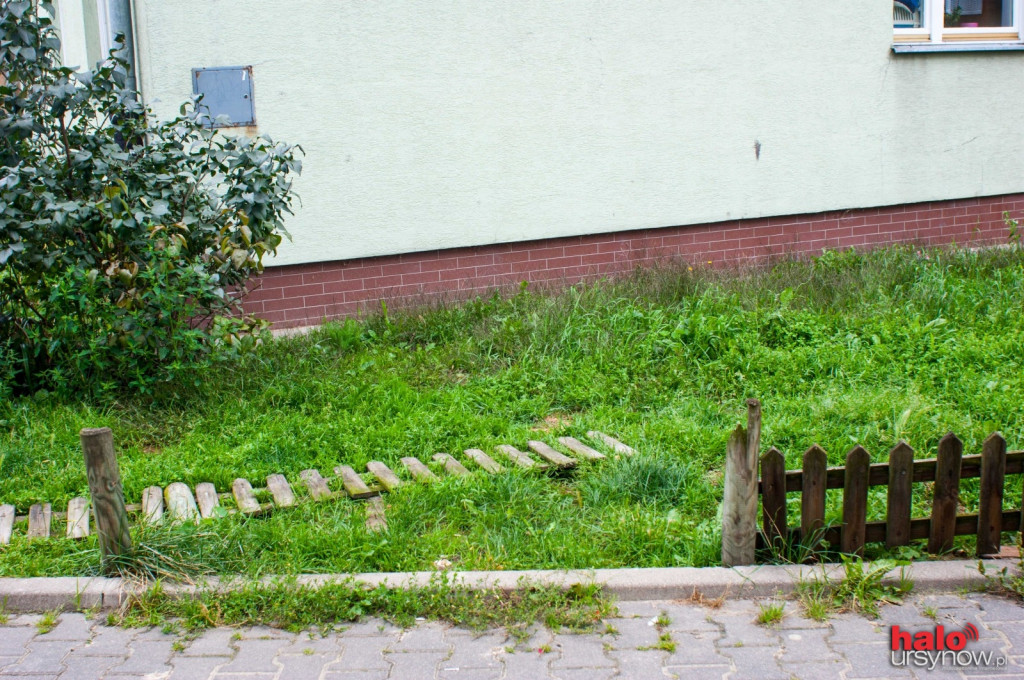 Pileckiego: jest nowy plac zabaw i ładna zieleń, a wokoło...