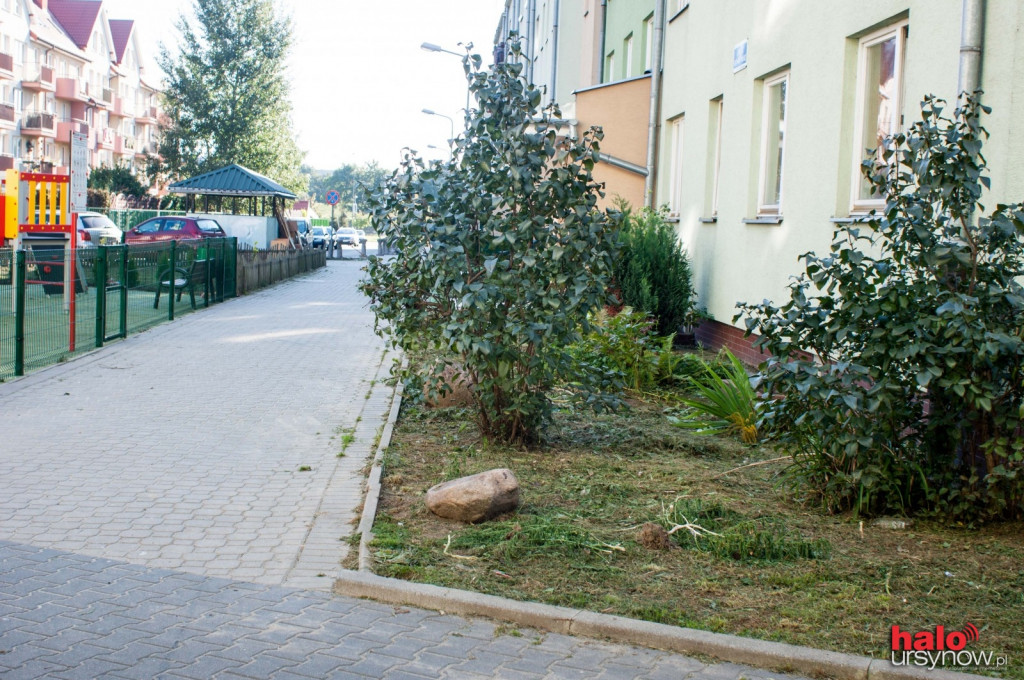 Pileckiego: osiedle dostaje nowe życie, wzięli się za porządki