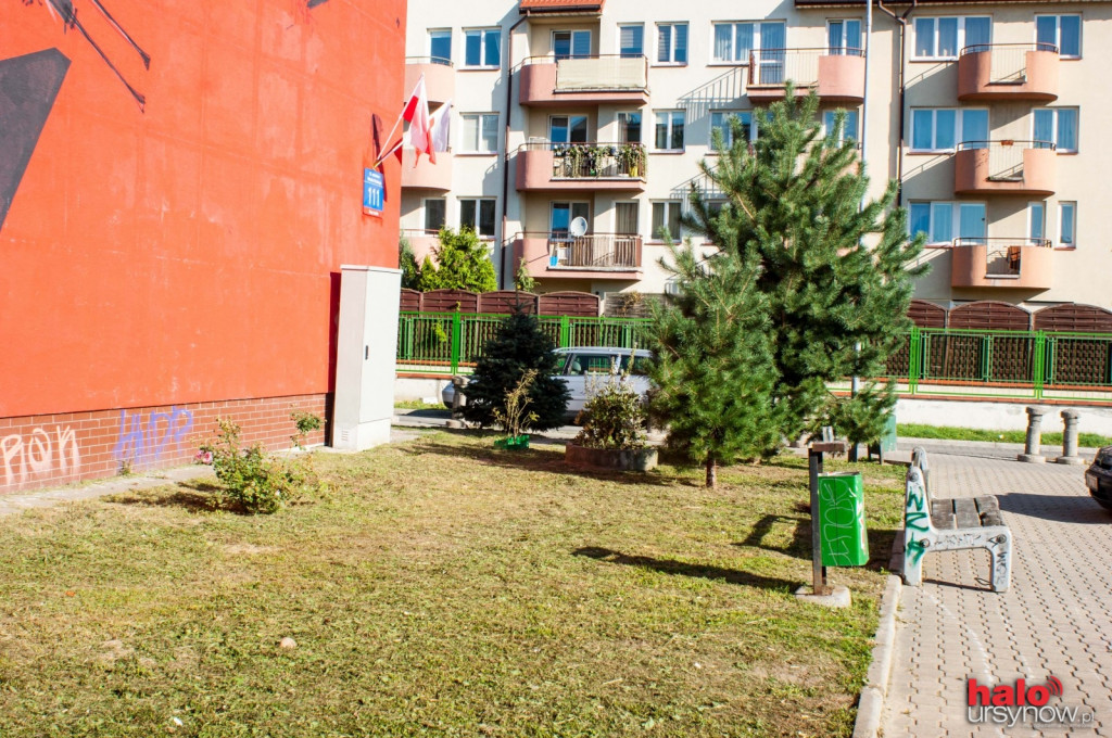 Pileckiego: osiedle dostaje nowe życie, wzięli się za porządki