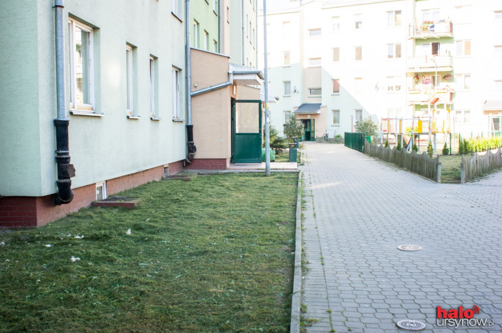 Pileckiego: osiedle dostaje nowe życie, wzięli się za porządki