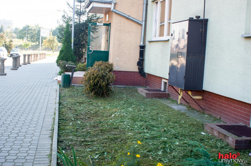 Pileckiego: osiedle dostaje nowe życie, wzięli się za porządki
