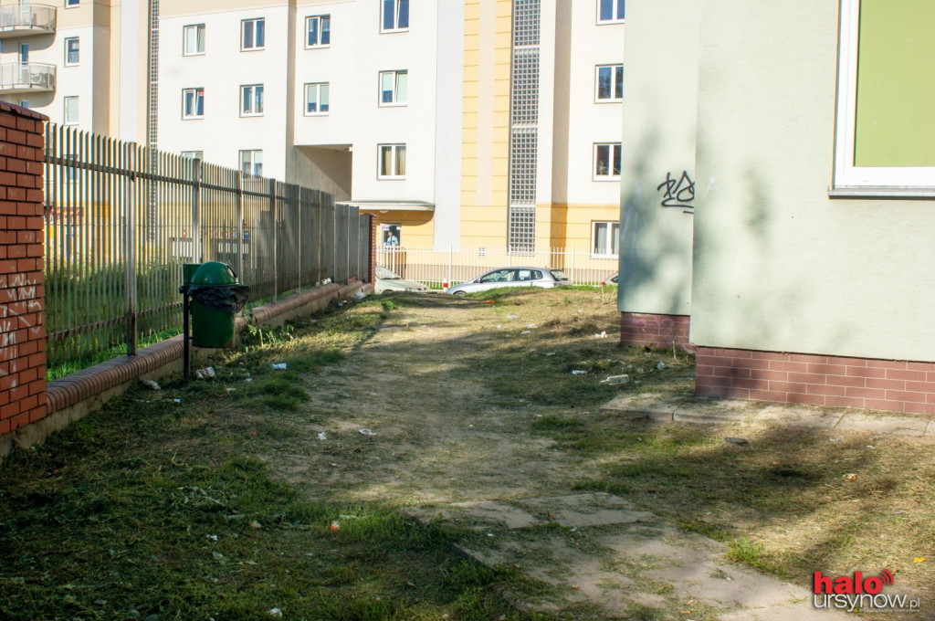 Pileckiego: osiedle dostaje nowe życie, wzięli się za porządki