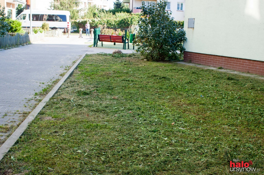 Pileckiego: osiedle dostaje nowe życie, wzięli się za porządki