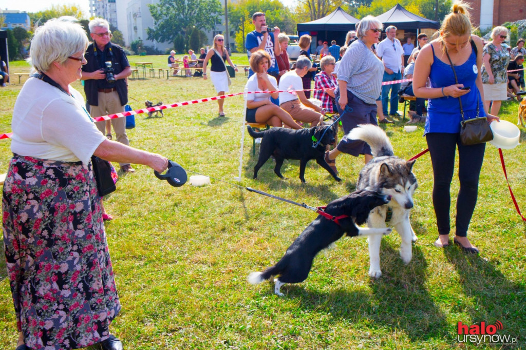 Ursynów dobry dla zwierząt