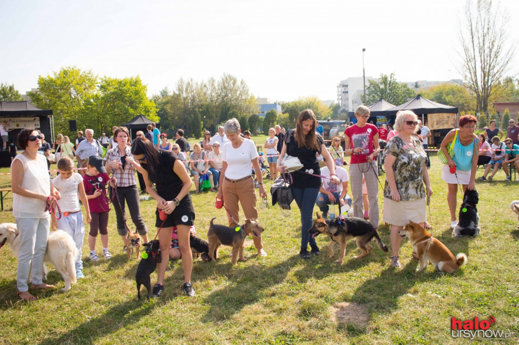 Ursynów dobry dla zwierząt